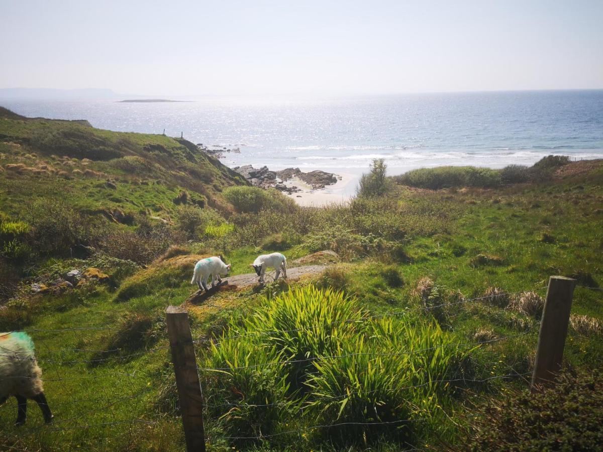 Kilcar Anne'S Thatched Cottage المظهر الخارجي الصورة